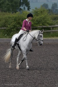 ISIS Dressage Challenge 2008